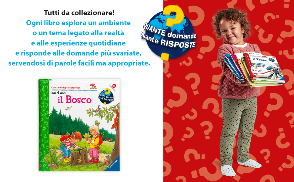 Il bosco