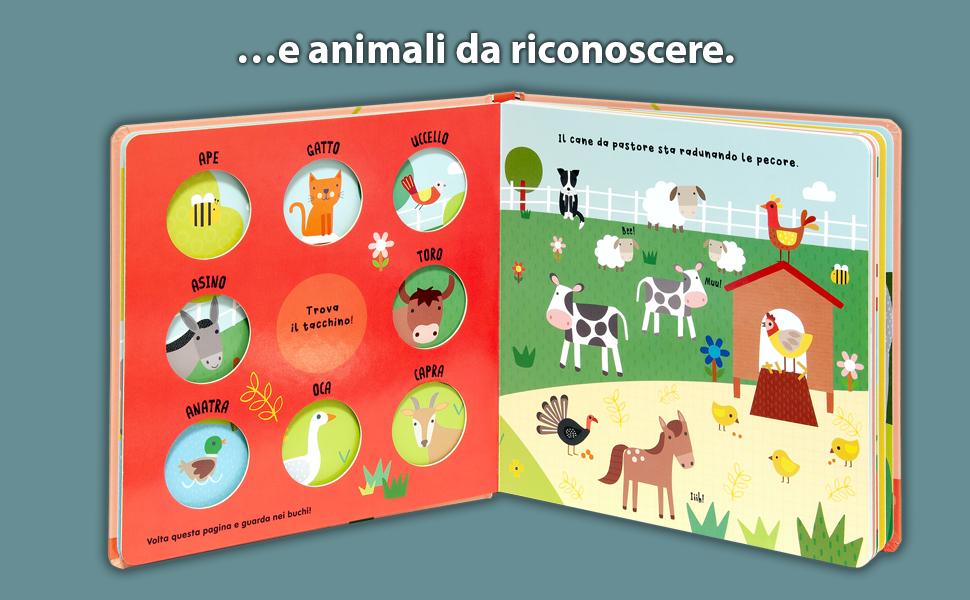 Animali grandi e piccoli